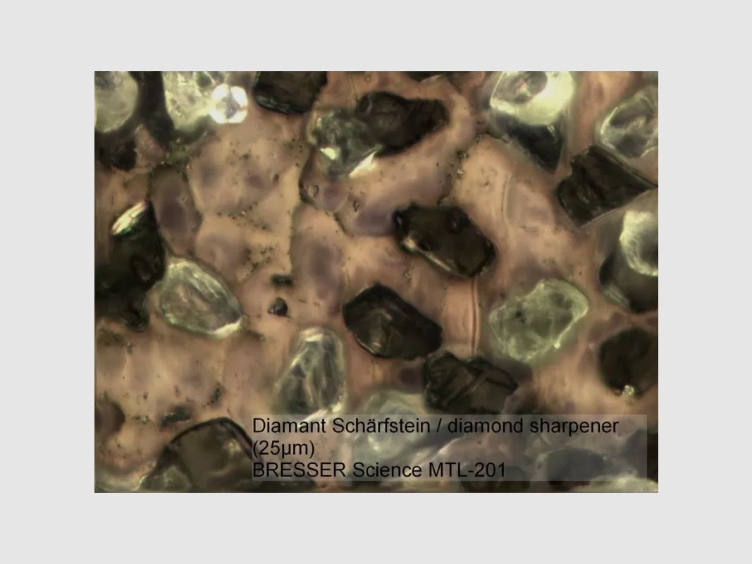 BRESSER Science MTL 201 50-800x Mikroskop, Bild 4 von 13