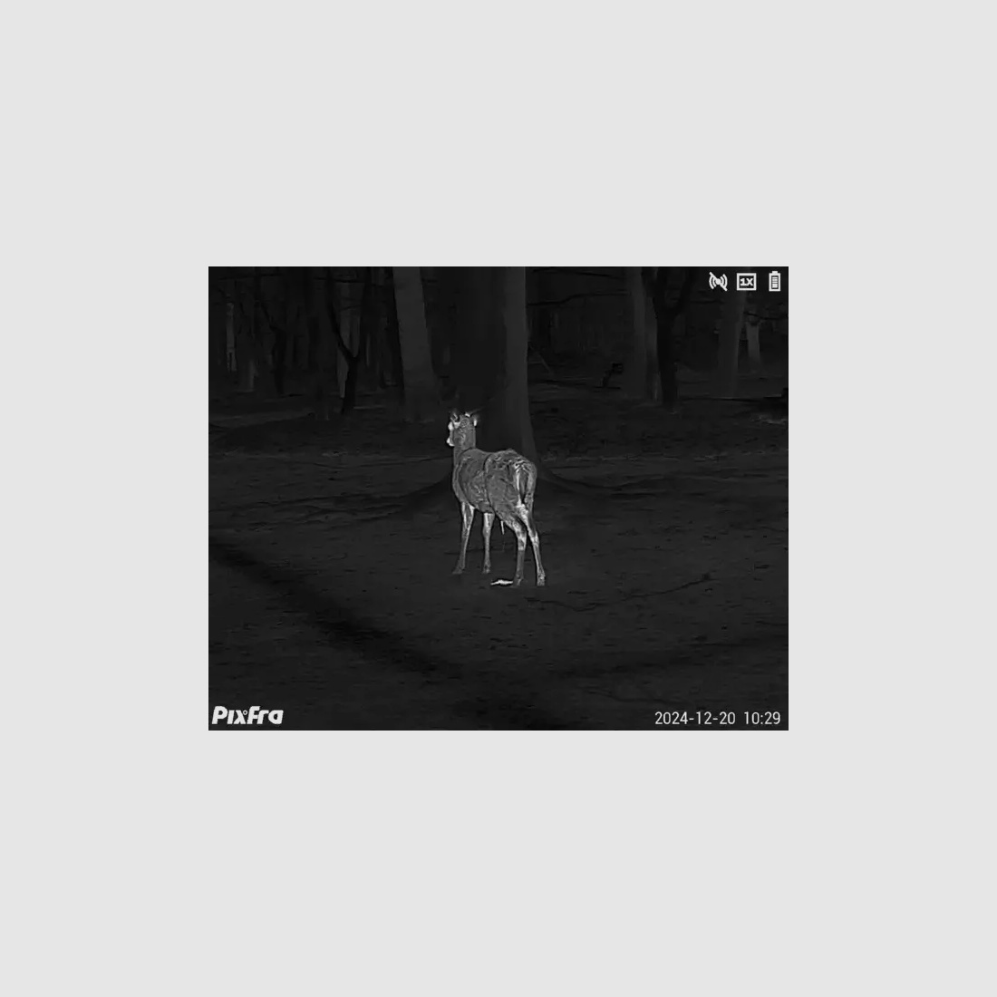 Pixfra Wärmebildmonokular Sirius S650D