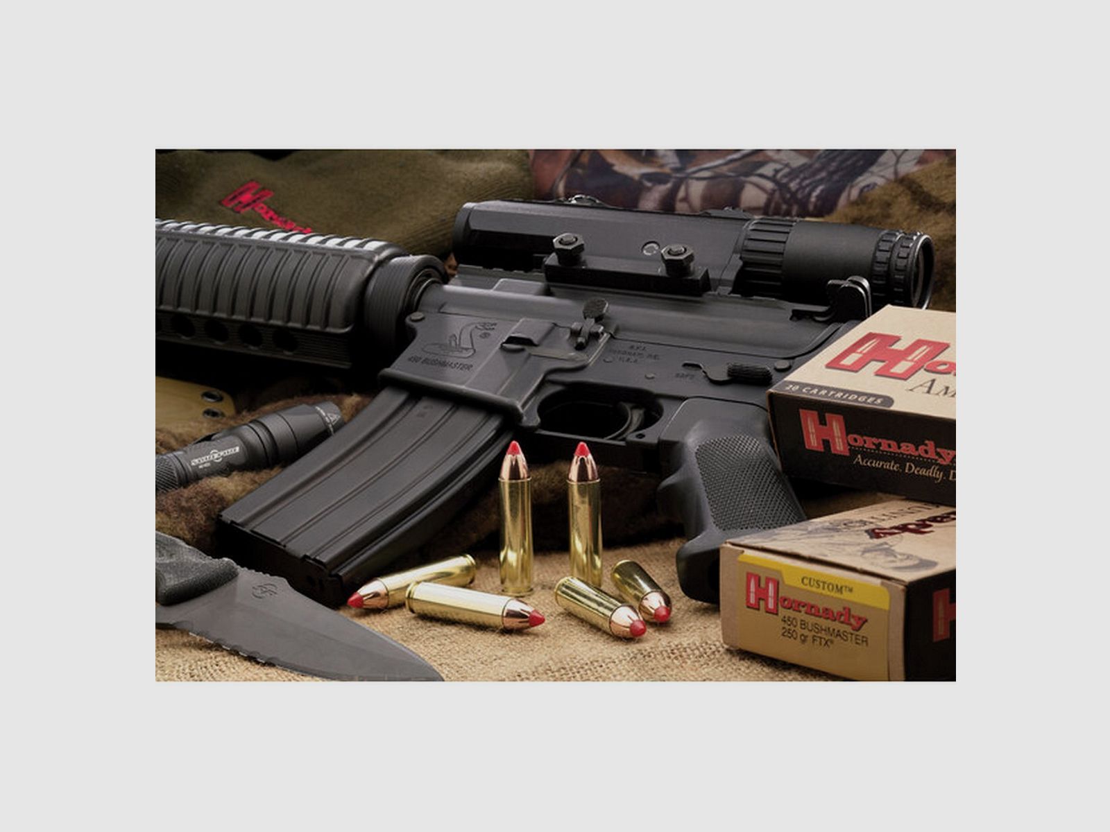 Hornady .450Bushmaster 250grs FTX 20STK Munition bleihaltig