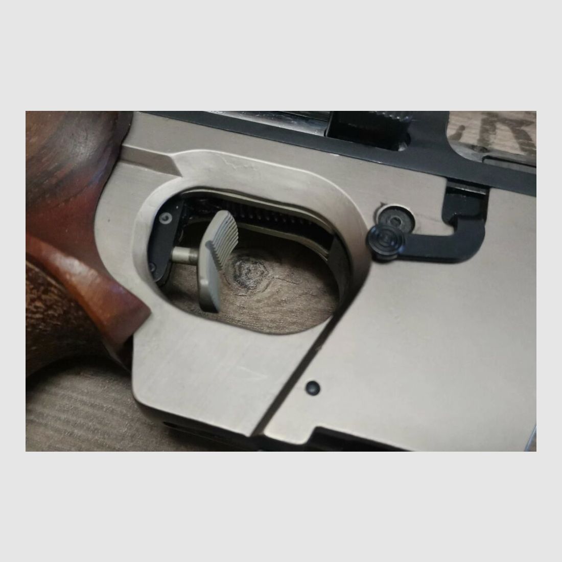 Walther GSP .22lr