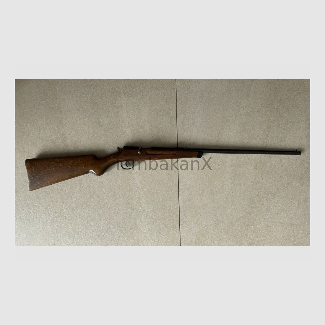 Anschütz .22lr