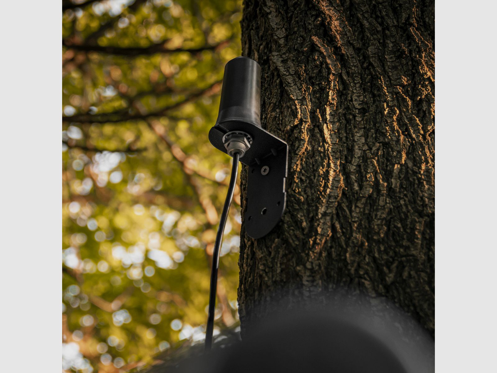 SPYPOINT Langstrecken-Mobilfunkantenne CA-01