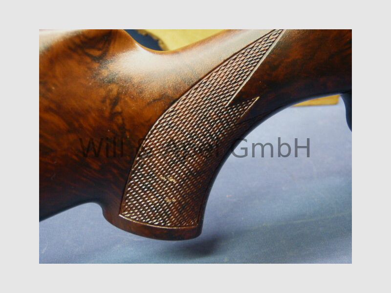 BLASER/ ISNY R93 TIMBER