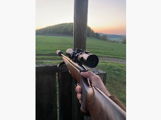 Steyr Männlicher Luxus 7x 64 Picatinny Montage 