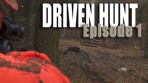 DRIVEN HUNT EPISODE 1 - Wild boar & deer at Lutowko - Drückjagd - Drevjakt