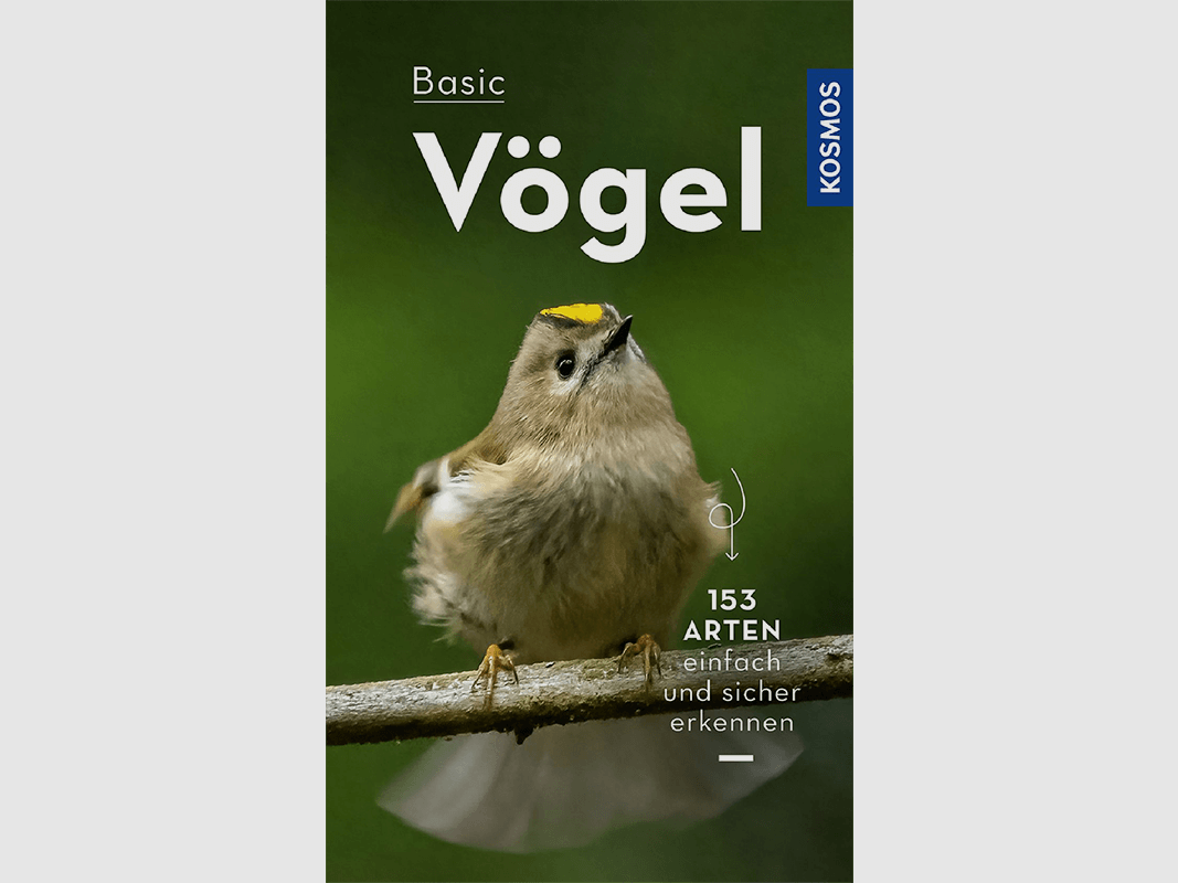 Buch "Basic Vögel"