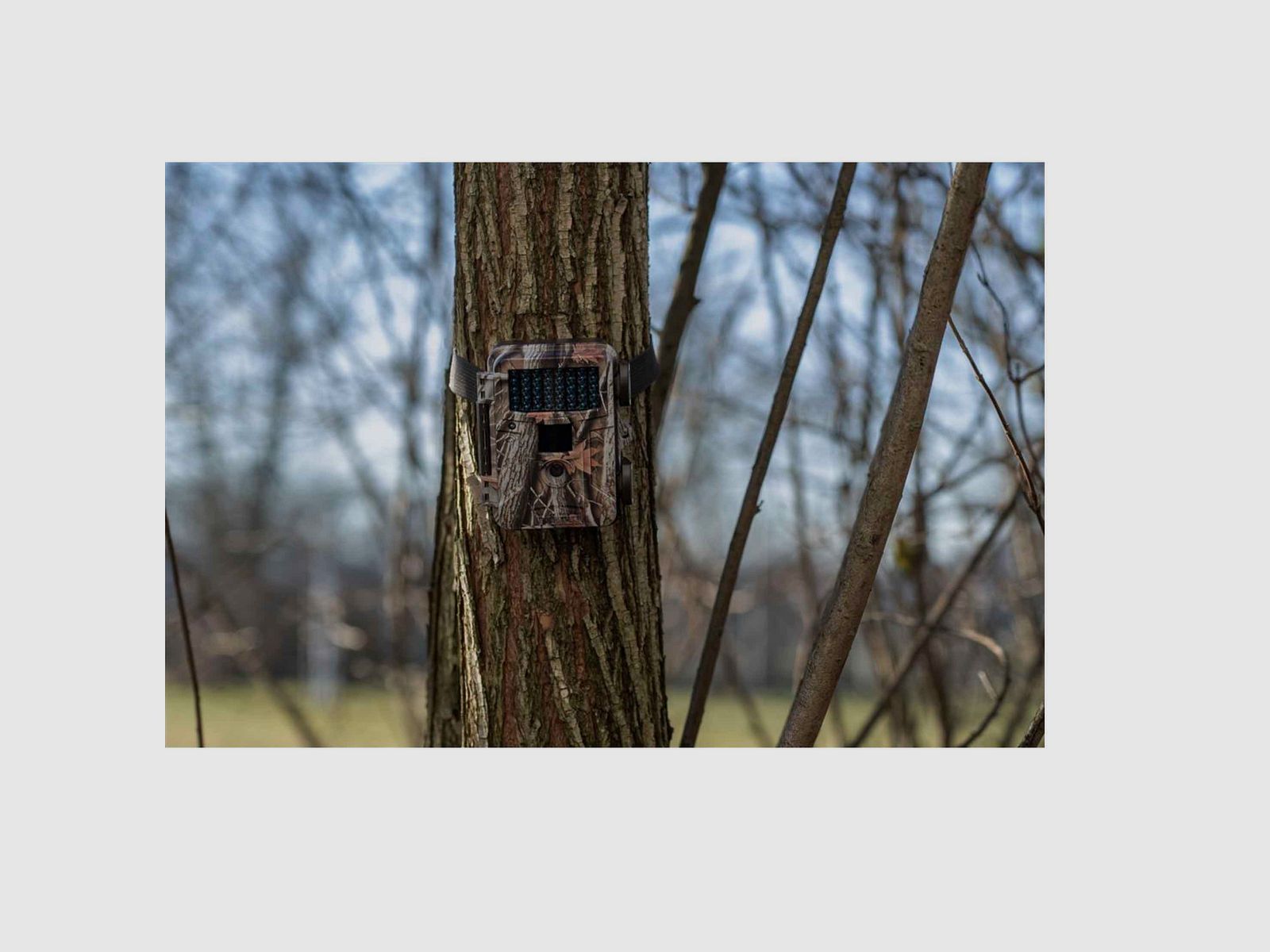 Dörr 204505 Wildkamera Fotofalle Snapshot Mini Black 12 MP HD Camouflage 40 Black LEDs