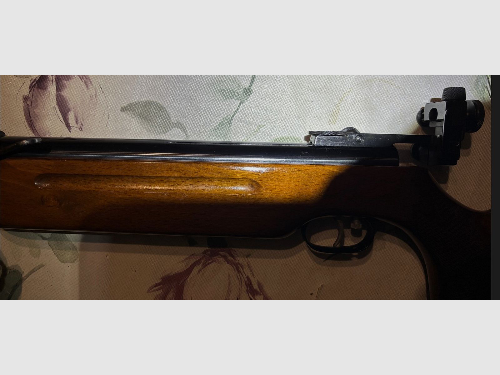 Weihrauch HW 55 mit Diopter
