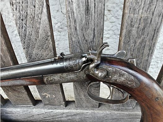 Paul Jung Hahn pistola a carabina a molla