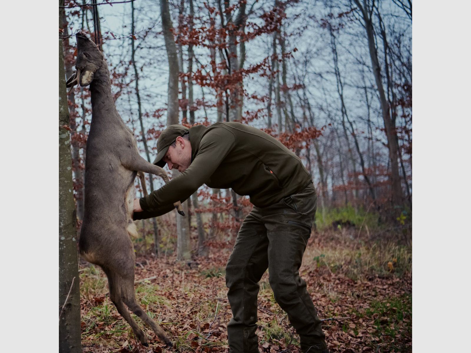 Härkila Fleecejack Power Pine Green