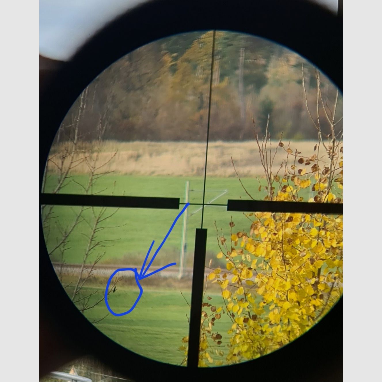 Jumelle de chasse Frankonia 8x56