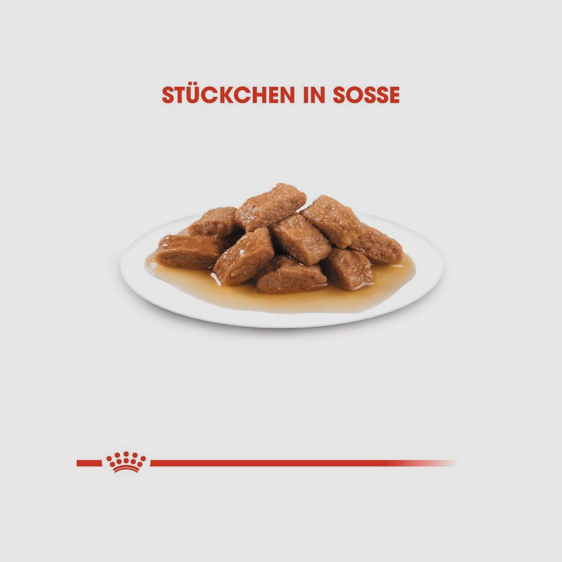 ROYAL CANIN Mittelgroße Hunde Nassfutter Medium Adult 10x140 g