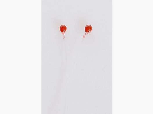 Shrimp Eyes