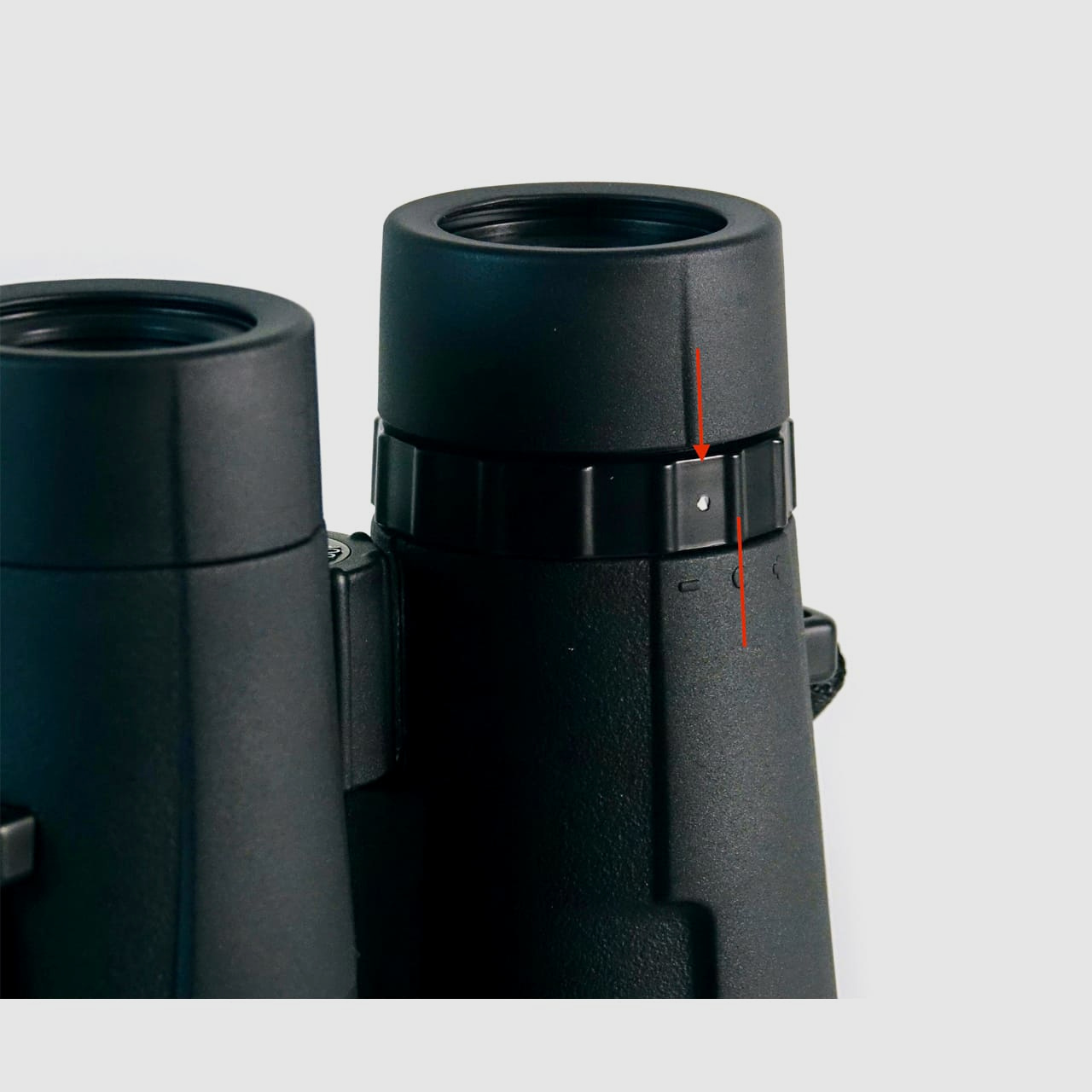 NOBLEX NF 8x56 vector | generalüberholt