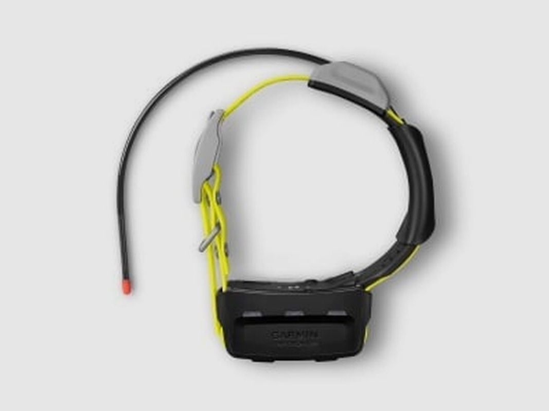 Garmin Set/Bundle GPS-Hundeortungsgerät Alpha 10K + Hundehalsband K5X GPS