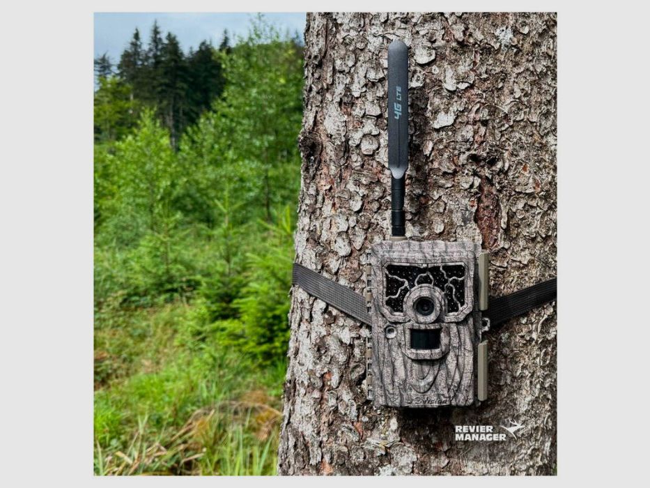 Gestore di Territorio Telecamera RM4eco+ | con Funzione Video, immagine 19 di 20