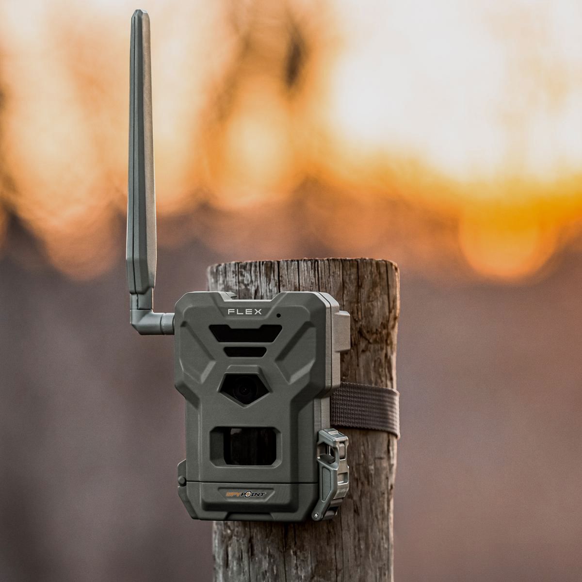 SPYPOINT Wildkamera FLEX
