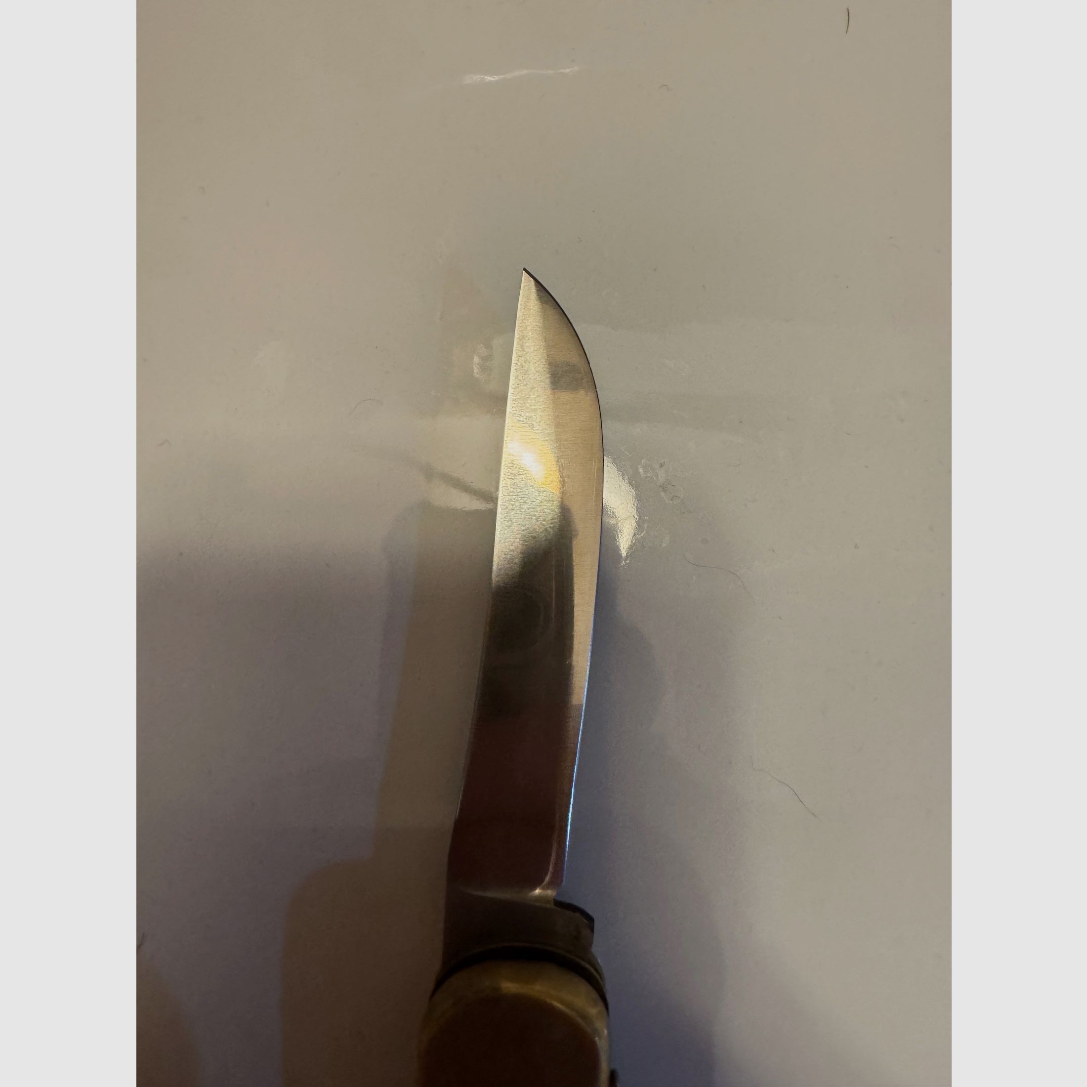 972 Puma Game Warden
