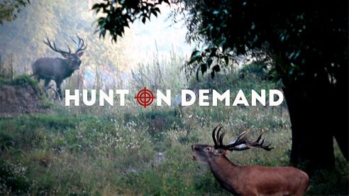 Hunt on Demand I Die besten Jagdvideos im Netz! Jetzt kostenlos testen! (Official Trailer 2020)