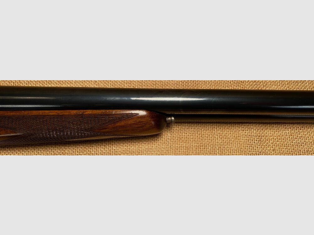 F.SARRIUGARTE ELOGOIBAR-ESPANS Hubertus 20