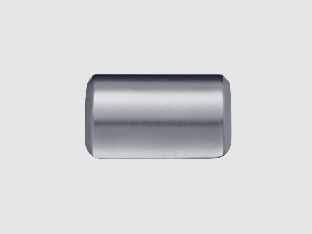 Walther Laufmantelgewicht 100 g stainles