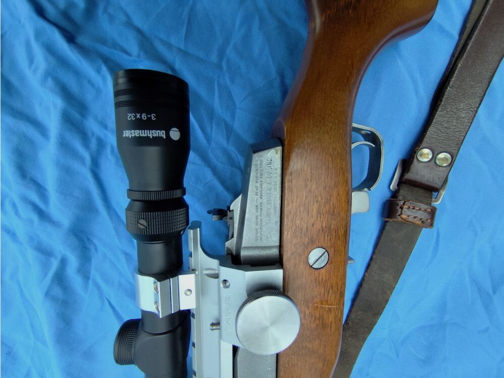 Ruger Mini 14