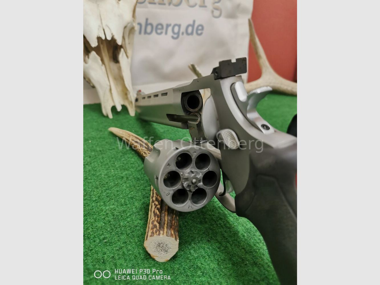 Taurus Raging Bull