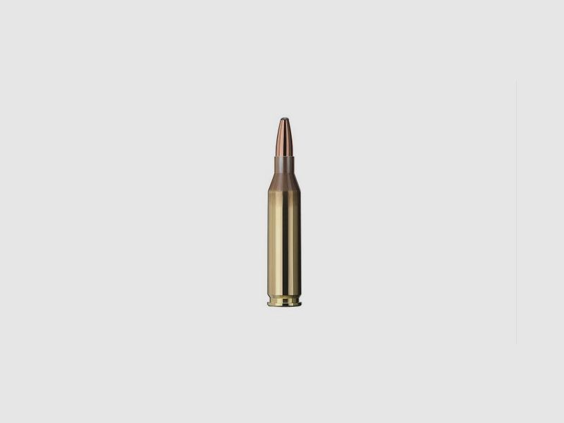 Geco Softpoint .243 Win TM 6,8g 105gr, immagine 2 di 5