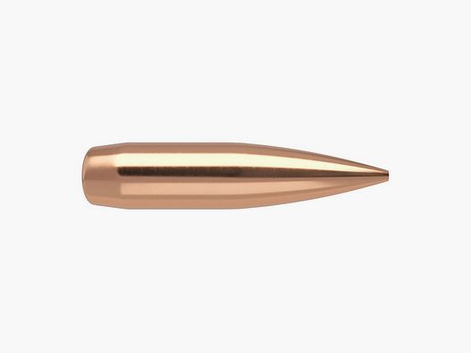 NOSLER 22 CALIBER (0.224″) 70GR HOLLOW POINT BOAT TAIL 100/BOX