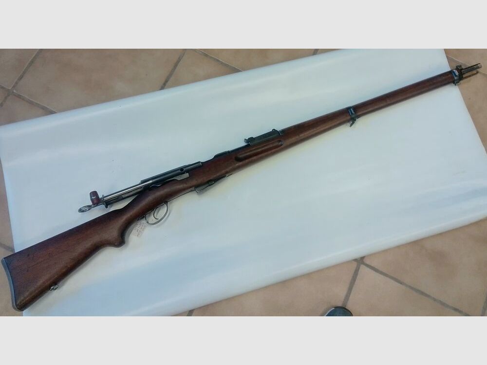 Schmidt Rubin 1896/11