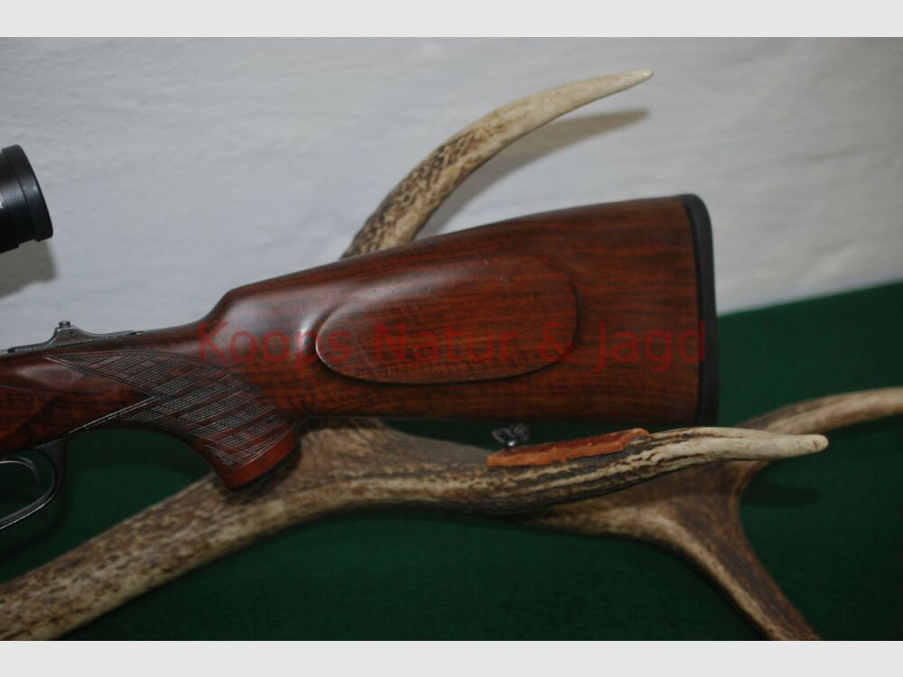 Blaser