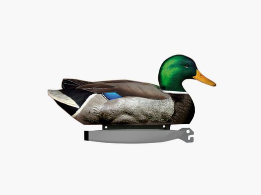 FORME ENTE STOCKENTE HD MOUSSE