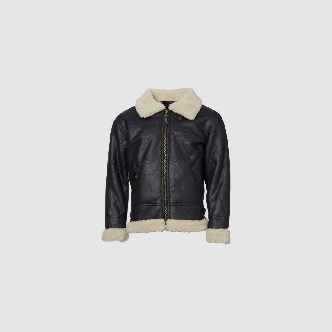 alpha industries Alpha Industries Lederjacke B3 FL schwarz