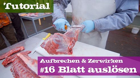 #16 Blatt auslösen - Schwarzwild - Lehrgang Aufbrechen & Zerwirken