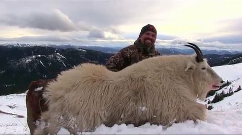 British Columbia Mountain Goat Hunts / Jagd auf Schneeziege / Jakt på Snöget