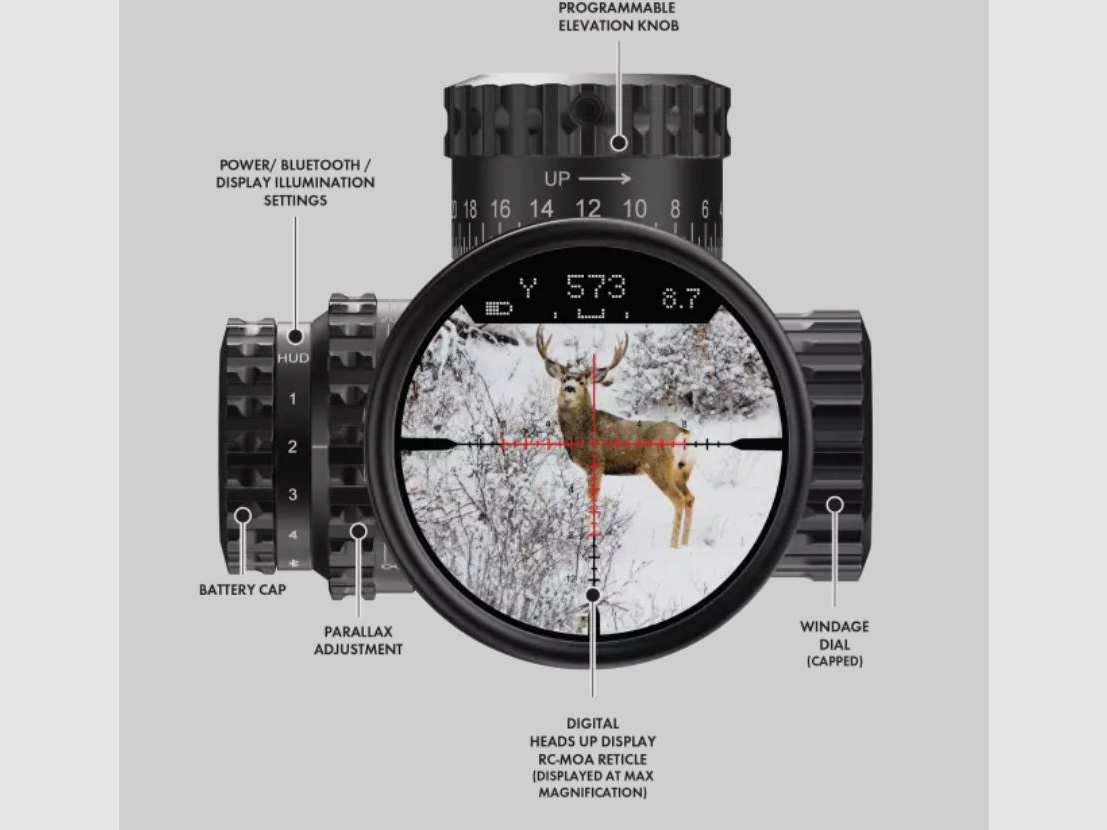 Burris Veracity PH 4-20x50 Abs. RC-MOA, sofort lieferbar