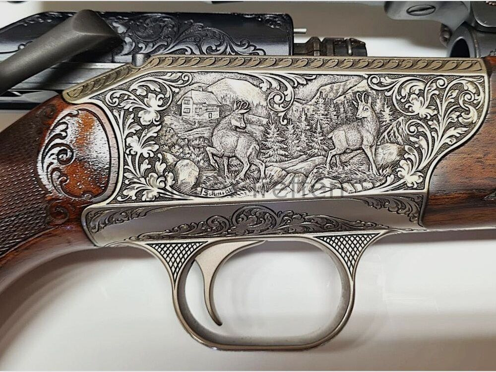 Blaser R93, imagen 3 de 10