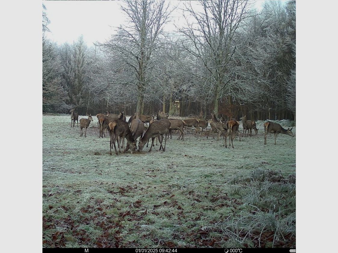 Seissiger SEISSIGER Pro-Cam LTE - SUPERSIM-Edition inkl. Akkus