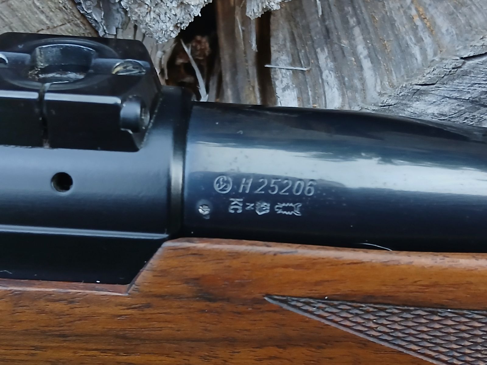 Sauer 200
