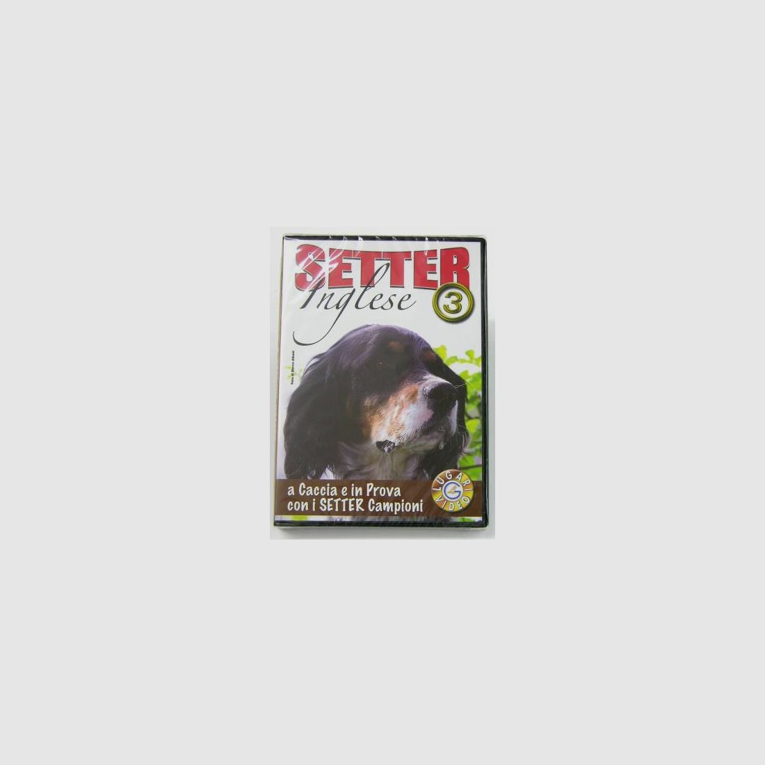 LUGARI Setter Inglese 3
