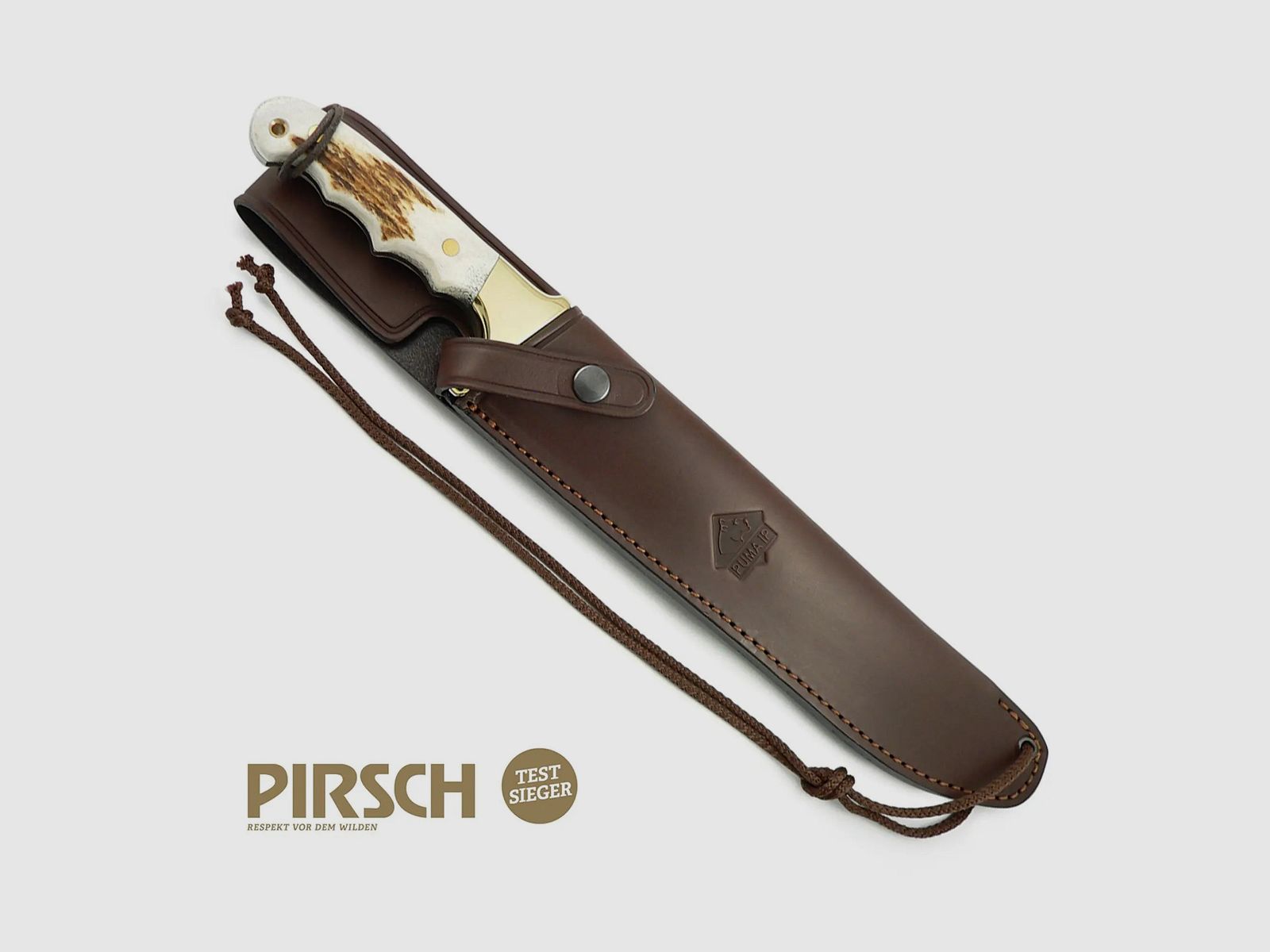 PUMA IP longhorn, cervo