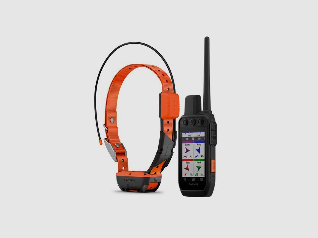 Garmin Set-Alpha 300i K Handgerät mit T20K Halsband, Bild 2 von 2