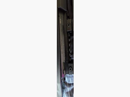 Ruger Precision
