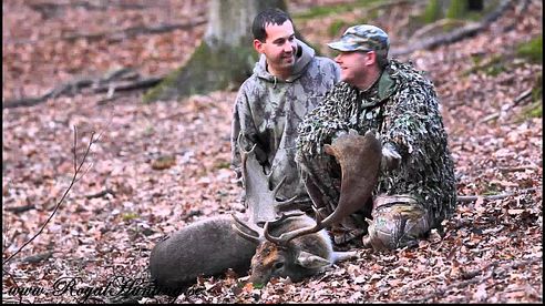 Fallow Deer 206p cic Big Gold Damm Hirsche Dov Hjort Skovel