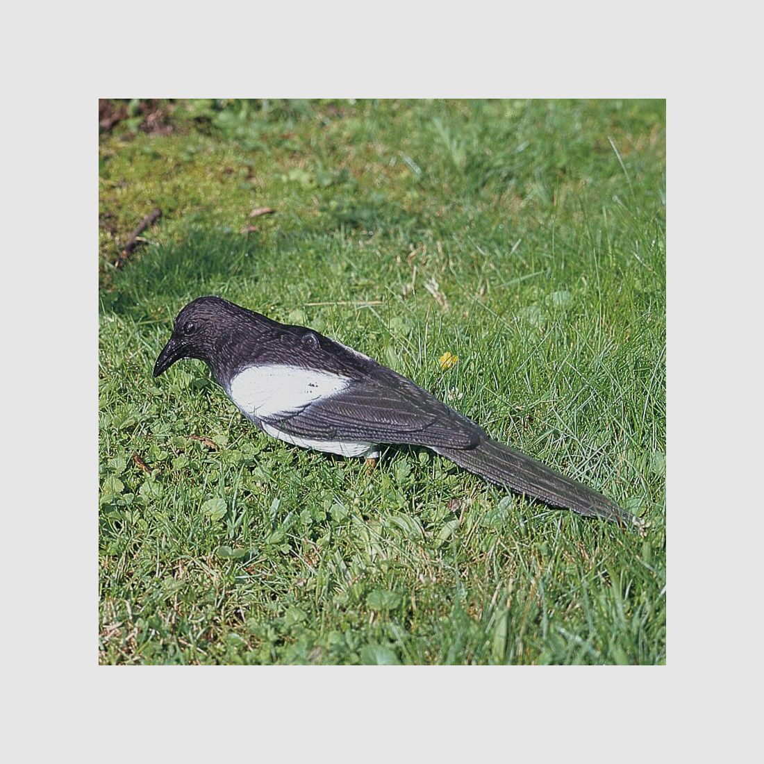 Verrou en plastique - floconné