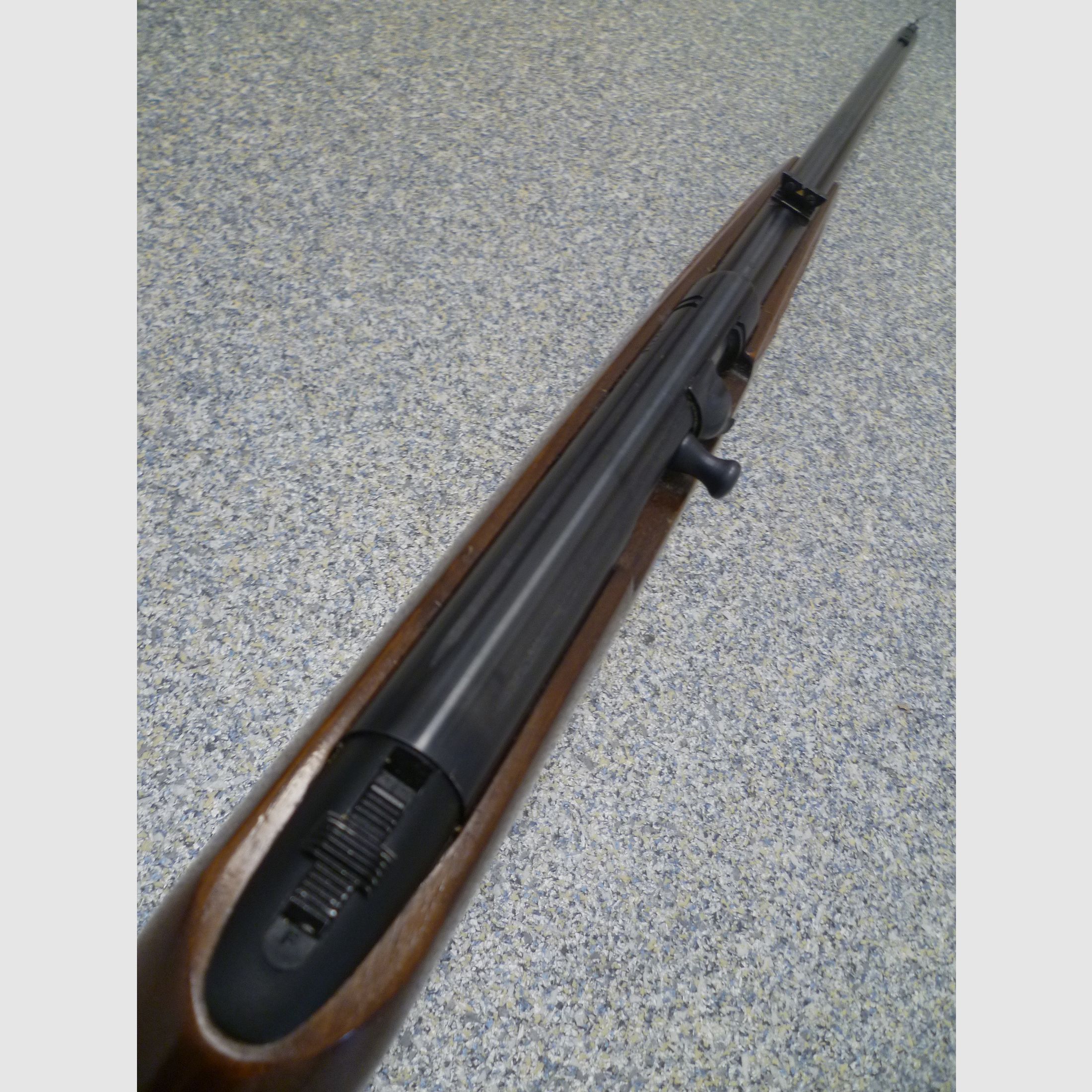 Carabina semiautomática Anschütz - Modelo Savage 6P-M .22lr