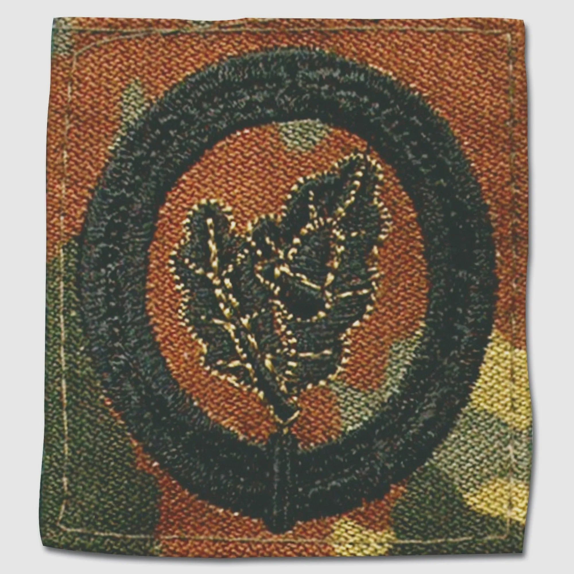 Fritzsch Abzeichen BW Einzelkämpfer II flecktarn
