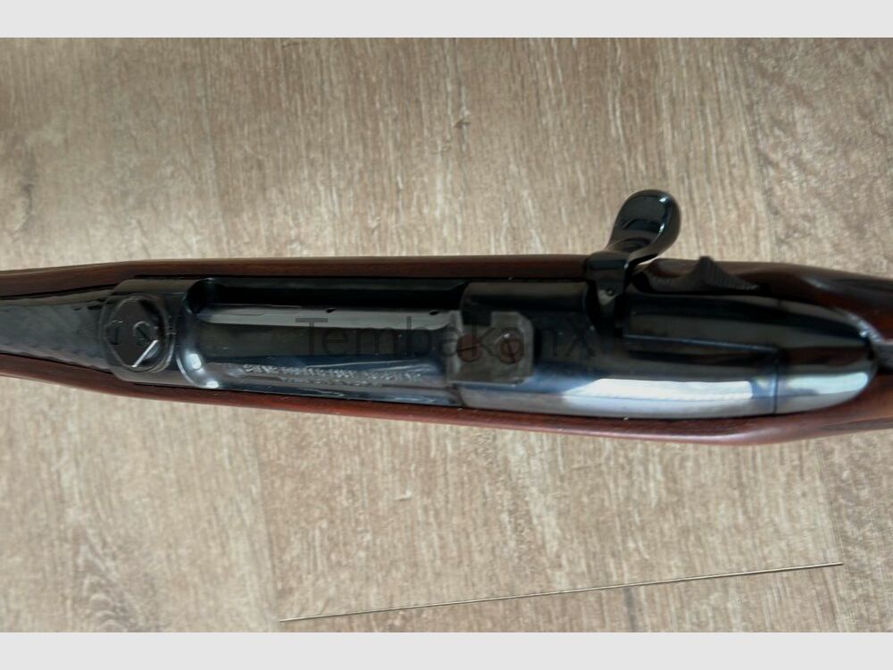 Steyr Mannlicher M72 7x64