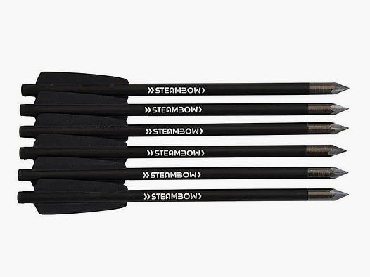 Set di 6 frecce Bodkin Stinger Steambow