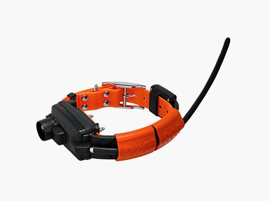 GPS-Halsband DogTrace X30TB - Beeper und Training - Leistungsstarkes Zusatzhalsband für Jagdhunde
